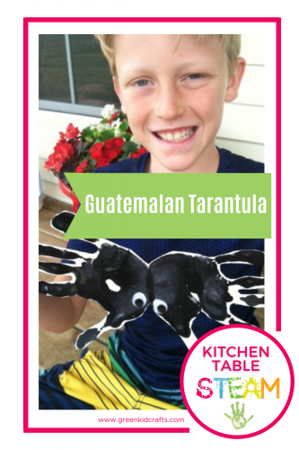guatemalan tarantula craft for kids