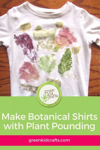 make botanical shirts with plant pounding