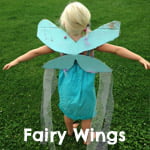 Fairy wings craft