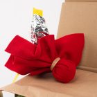 a typical space arts and crafts kit item