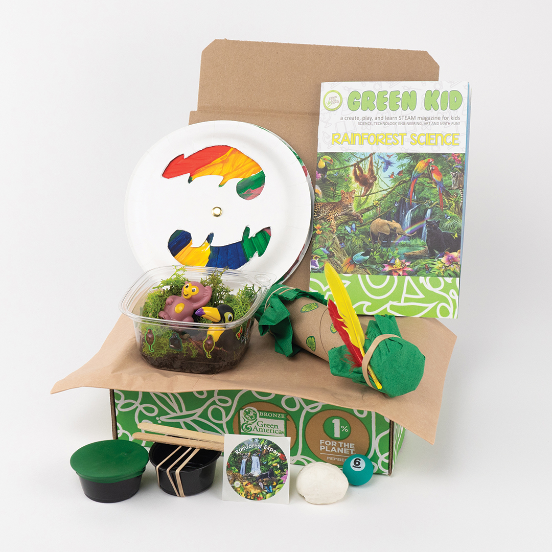 Rainforest Science Box