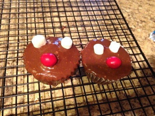 Reindeer cupcakes