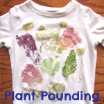 plant pounding 150x150
