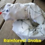 rainforest snake
