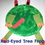 Red-Eyed Tree Frog