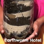 Earthworm hotel