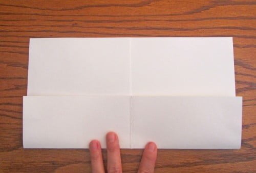 Rainforest Pocket Book