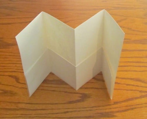 Rainforest Pocket Book