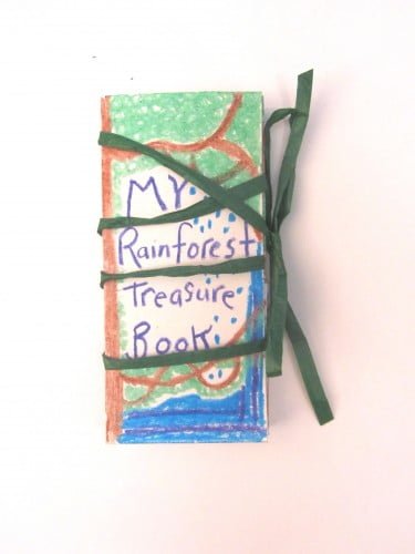 Rainforest Pocket Book
