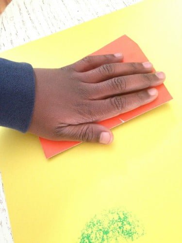 Animal Track Stamps