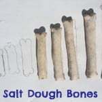 salt dough bones