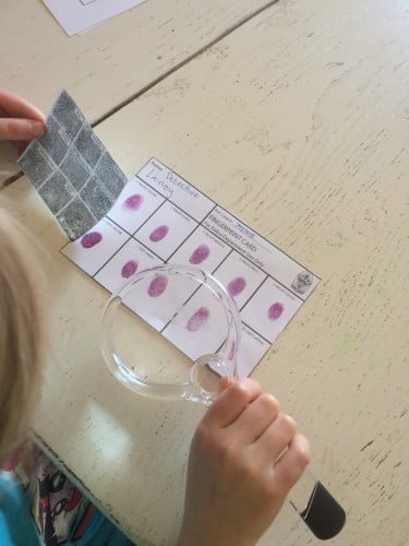 Fingerprint Kit