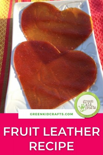 fruit leather recipe