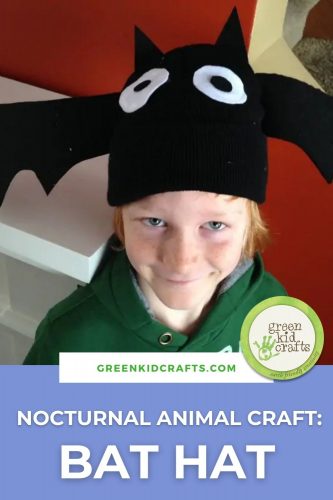 nocturnal animal craft bat hat