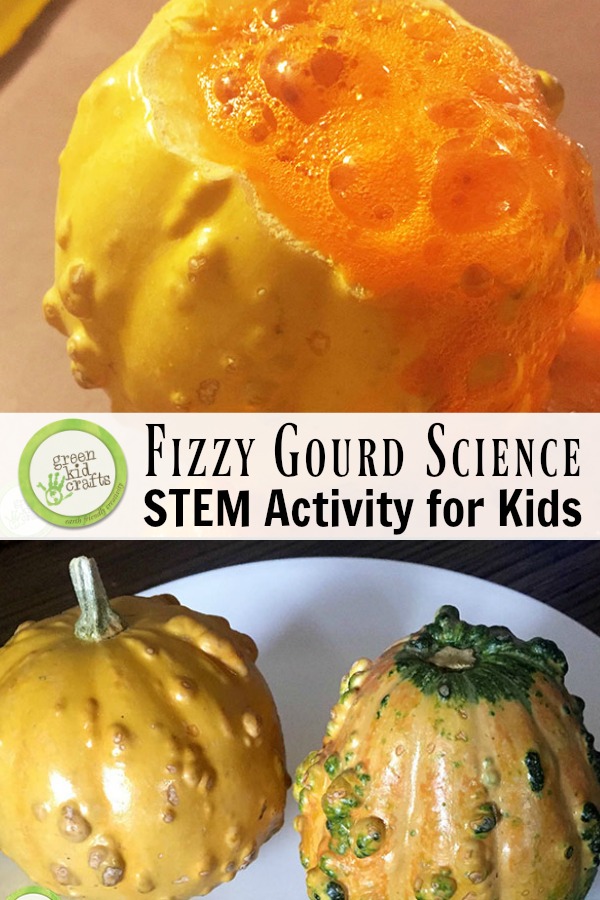 Fizzy gourd science activity for kids. A STEM project perfect for fall!