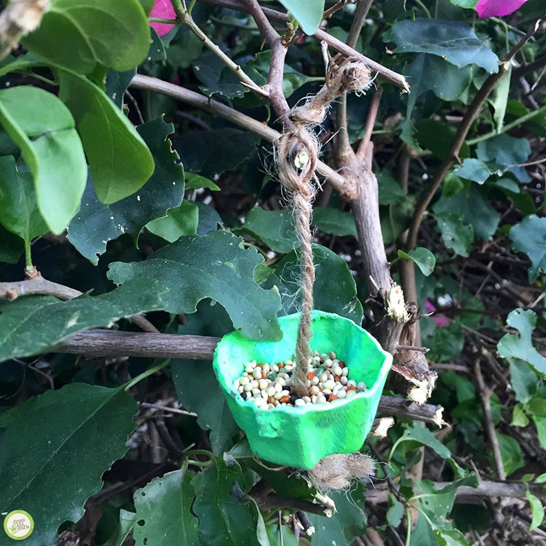 egg carton bird feeder craft