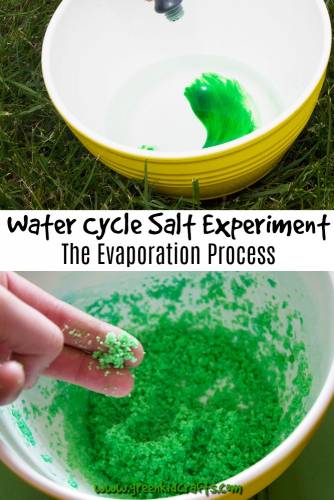 Water cycle experiment for kids. Learn about the water cycle with a salt and water activity that shows kids the result of evaporation.