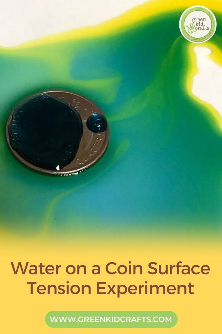 Water Surface Tension Experiment for Kids Green Kid Crafts