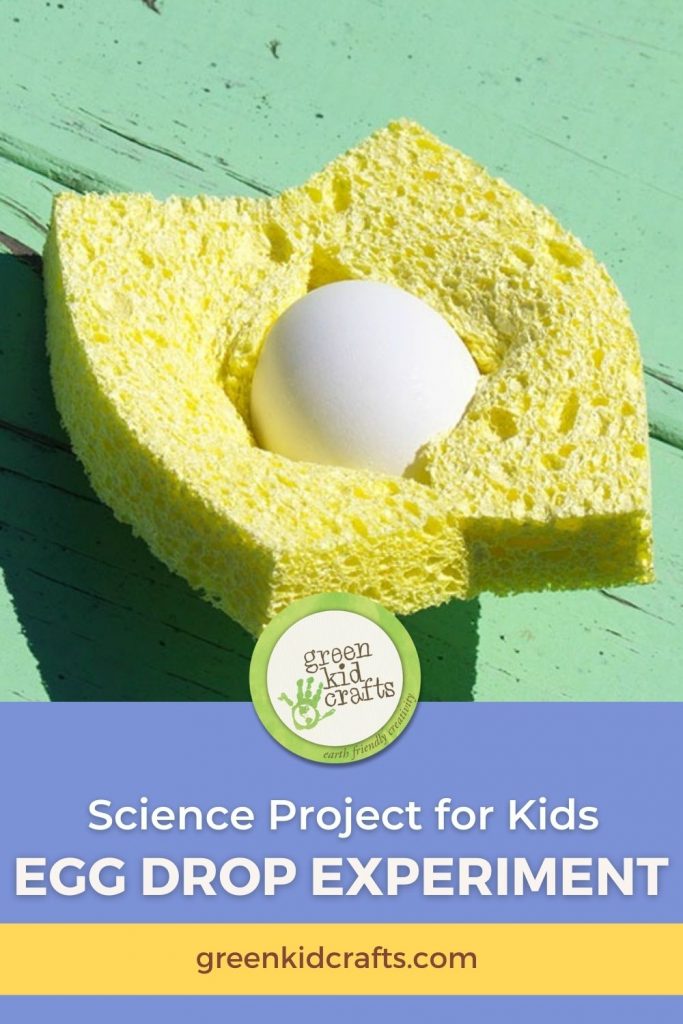 egg drop experiment