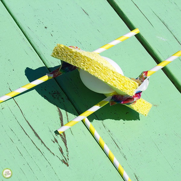 egg drop experiment