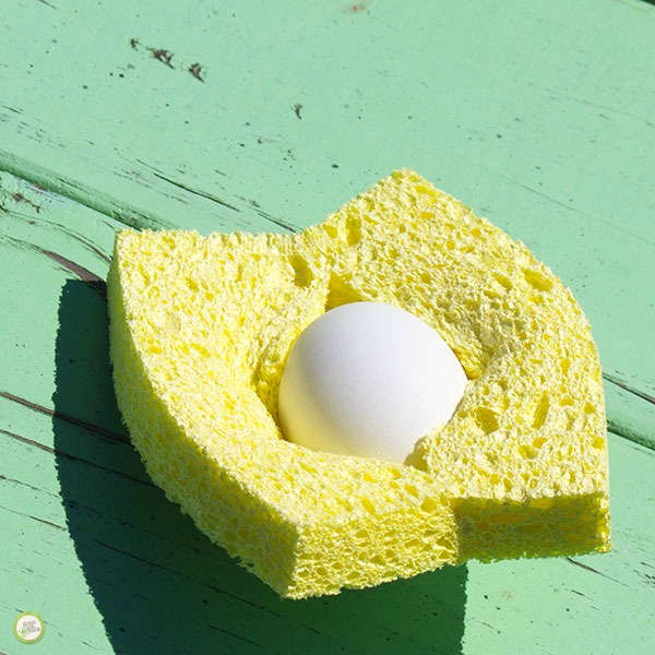 egg drop experiment