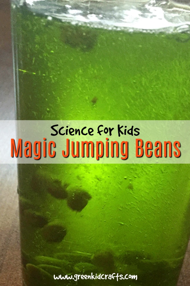 Magic jumping beans science experiment for kids. Trick your audience into believing you can make beans jump around in a glass filled with only water! Magic tricks for kids.