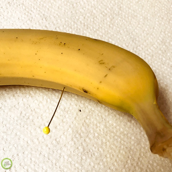magic banana