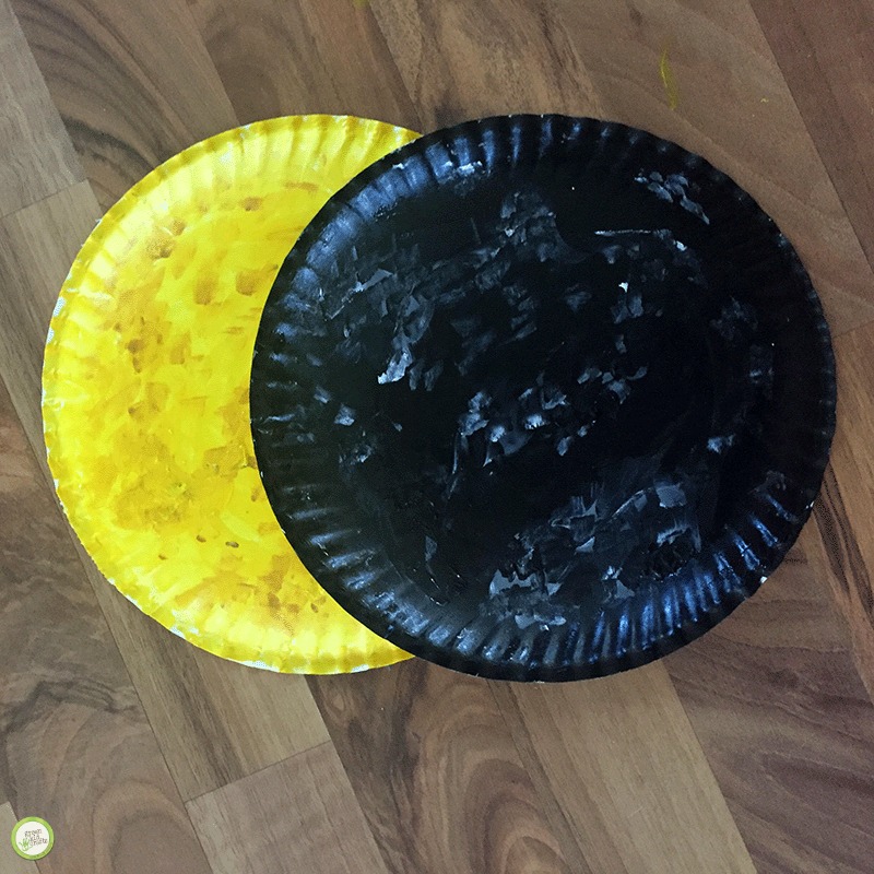 how to see the eclipse with paper plate