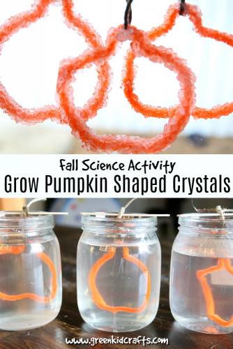 Fall science for kids. Grow pumpkin shaped crystals at home with this fall STEM experiment. Fall activities for kids.