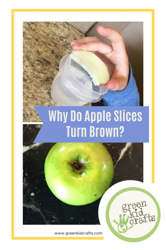 why do apples turn brown science project