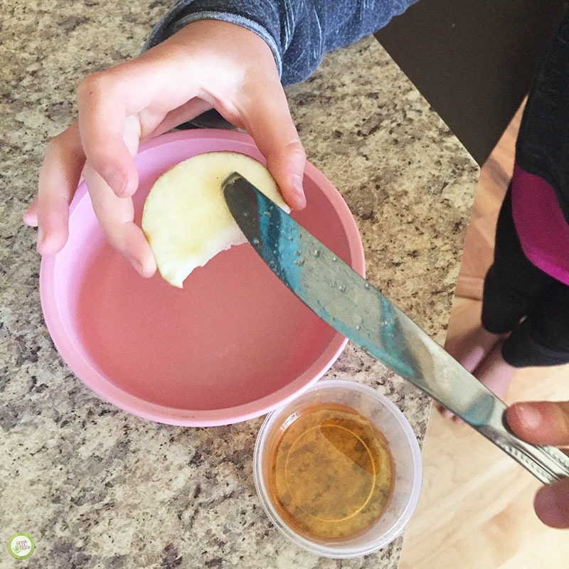 why do apples turn brown science project