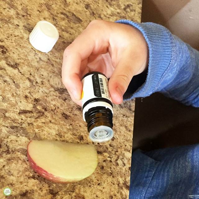 Why Do Apples Turn Brown Kitchen Science Project – Green Kid Crafts