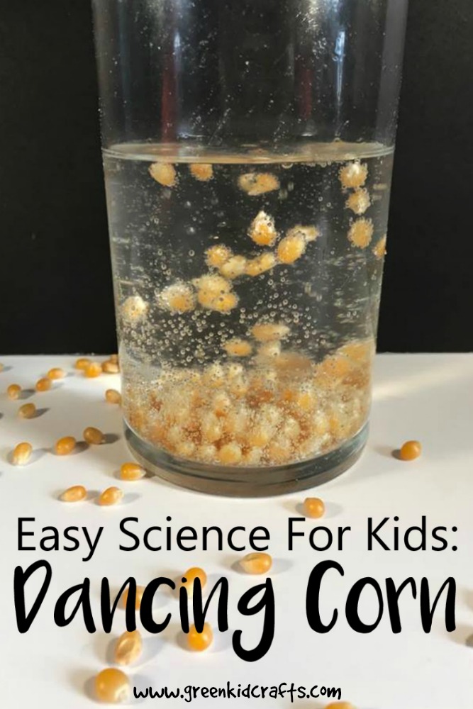 fall STEAM activities