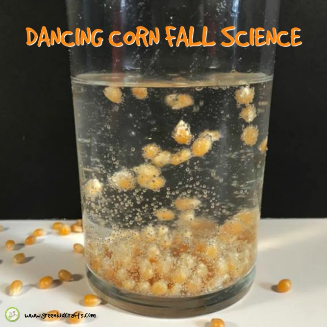 completed dancing corn science experiment
