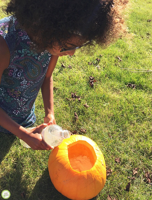 pumpkin volcano