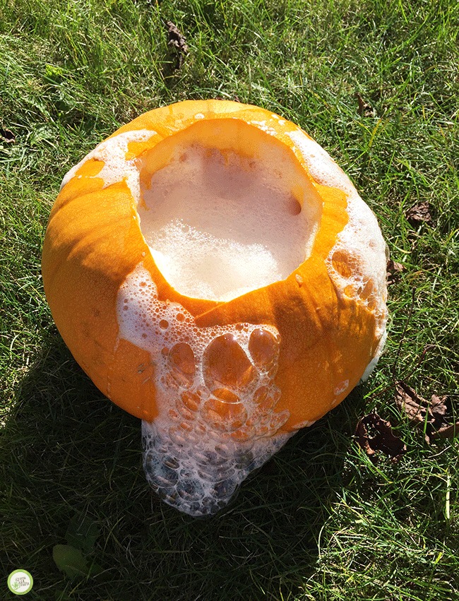 pumpkin volcano