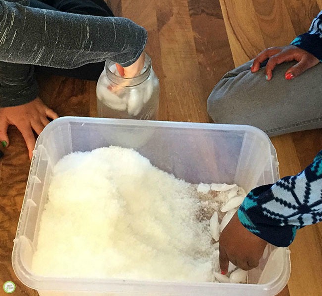 arctic sensory bin