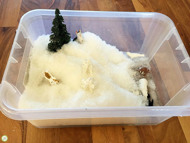 arctic sensory bin