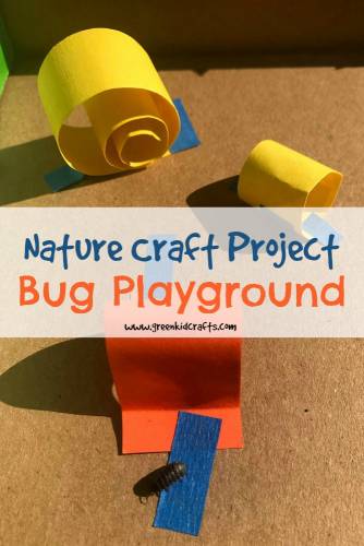 Make a playground for bugs from a cardboard box! #naturecrafts #insectcrafts