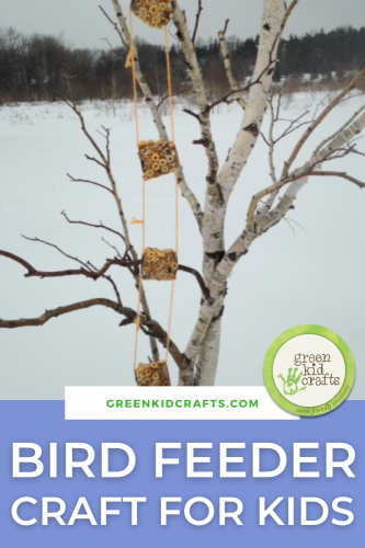 winter bird feeder craft for kids