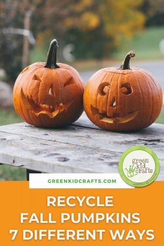 recycled fall pumpkins
