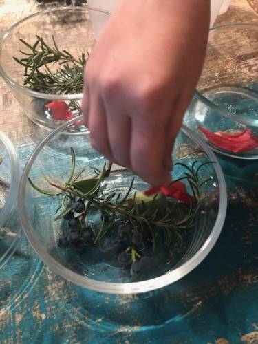 bowl with plants for ice lantern creation