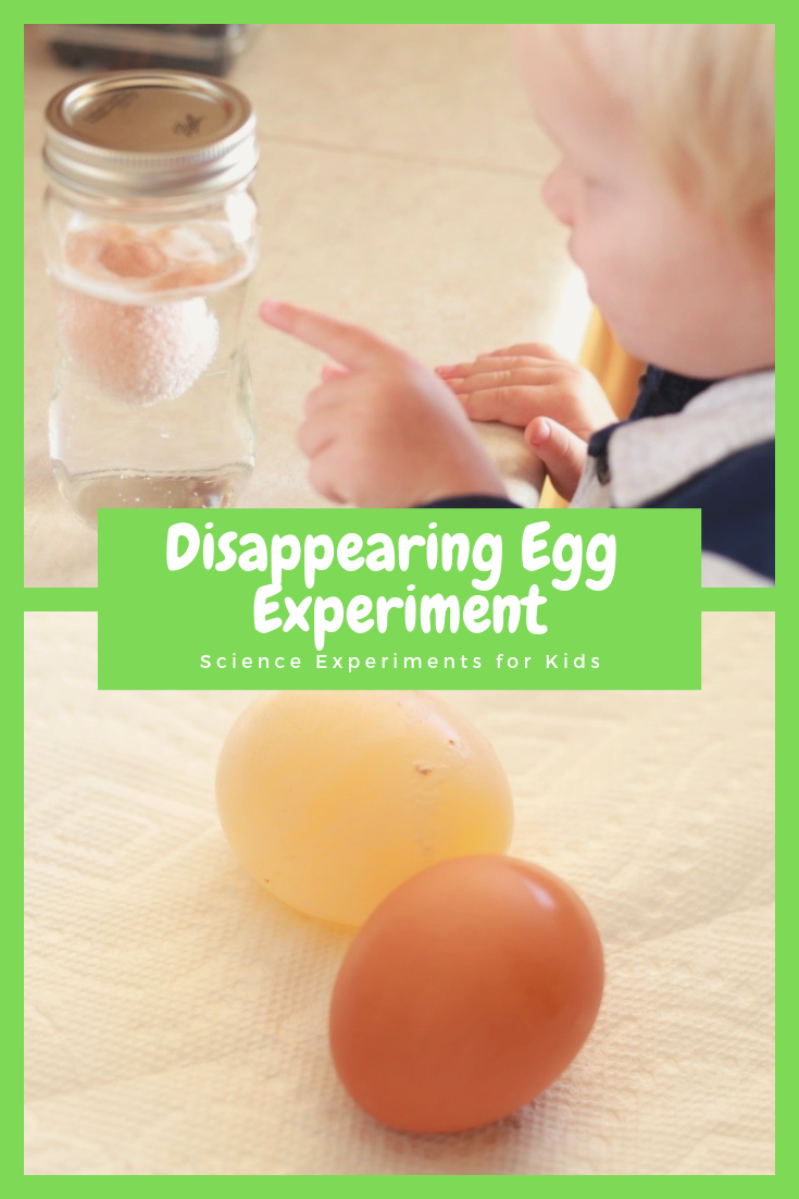 Disappearing Egg Experiment Science for Kids Green Kid Crafts