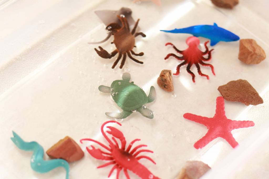 ocean pollution experiments with bath toys