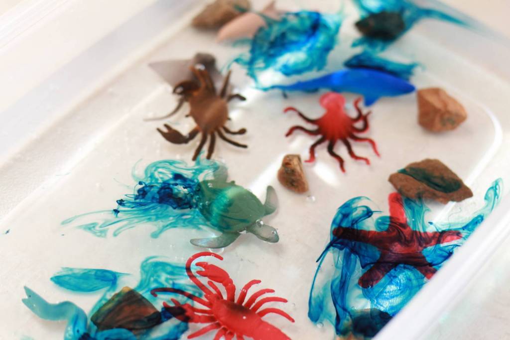 educational ocean pollution experiments