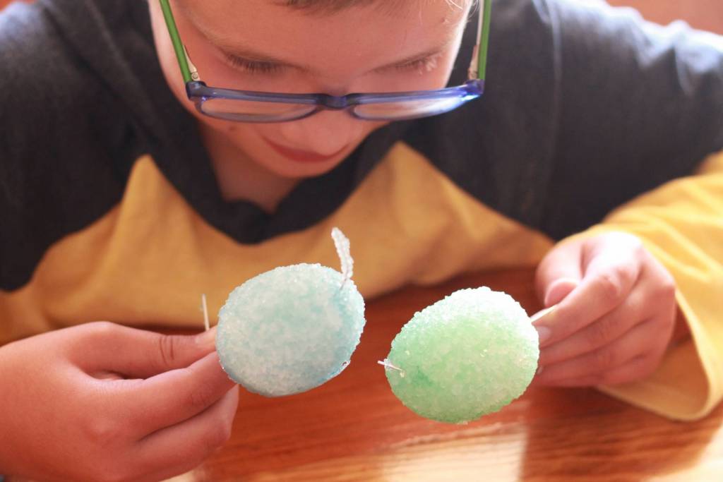 Looking for educational toys, science kits, monthly crafts for kids, monthly subscriptions for kids, a monthly craft box or kids craft subscription? Green Kid Crafts, kids craft subscription and maker of the best subscription boxes, including award-winning arts and craft subscription boxes and best monthly subscription boxes has what you're looking for!