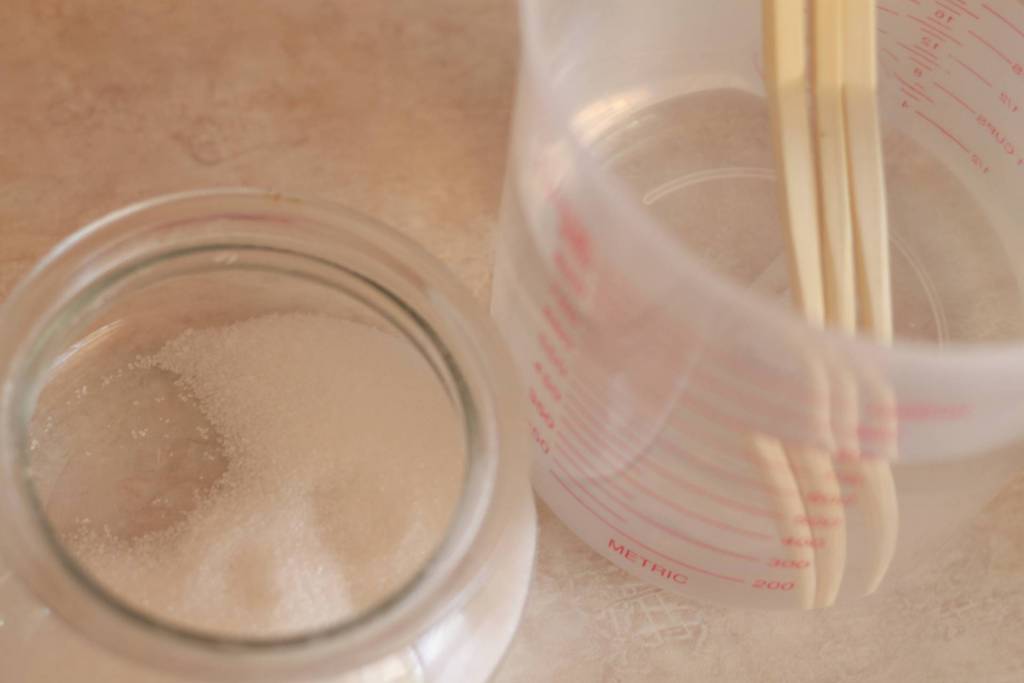 rock candy experiment step 2