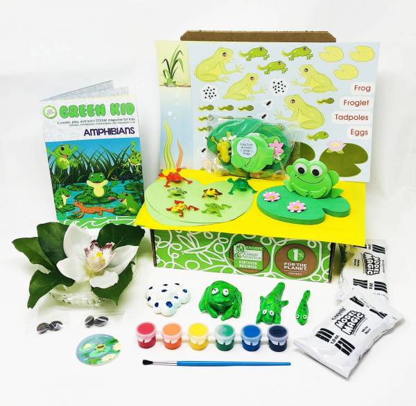 Amphibians Box