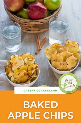 baked apple chips