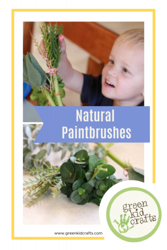 natural paintbrushes